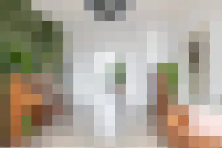 Zwanenvechtlaan 60 Utrecht thumbnail 12