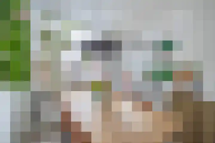 Zwanenvechtlaan 60 Utrecht thumbnail 14