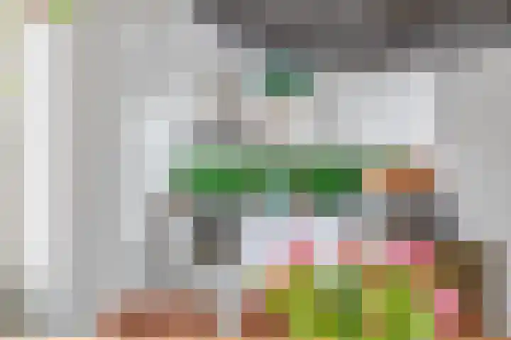 Zwanenvechtlaan 60 Utrecht thumbnail 16