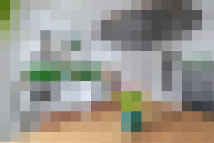 Zwanenvechtlaan 60 Utrecht thumbnail 17