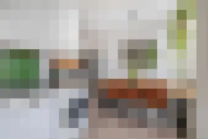 Zwanenvechtlaan 60 Utrecht thumbnail 18