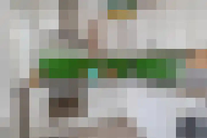Zwanenvechtlaan 60 Utrecht thumbnail 19