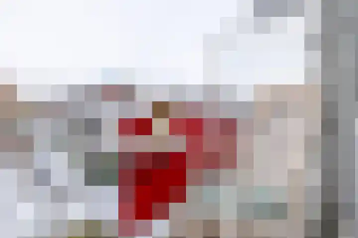 Zwanenvechtlaan 60 Utrecht thumbnail 21