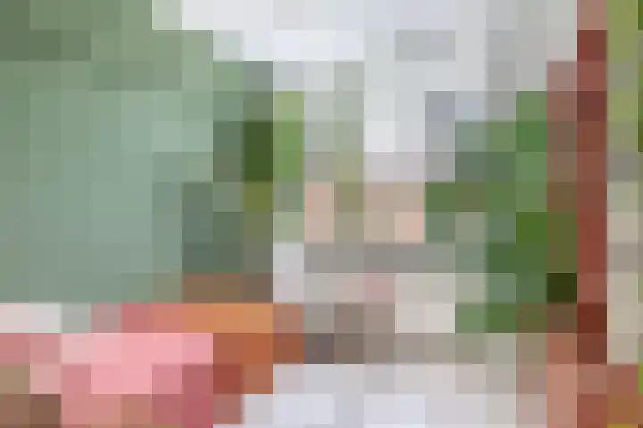Zwanenvechtlaan 60 Utrecht thumbnail 32
