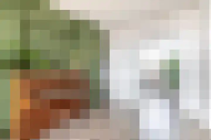Zwanenvechtlaan 60 Utrecht thumbnail 34