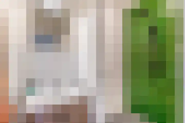 Zwanenvechtlaan 60 Utrecht thumbnail 4