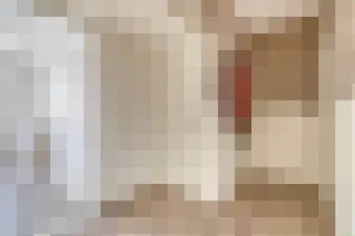 Zwanenvechtlaan 60 Utrecht thumbnail 5