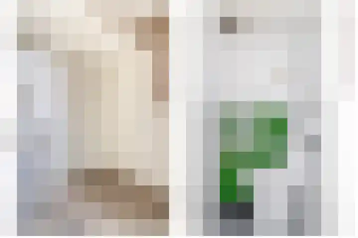 Zwanenvechtlaan 60 Utrecht thumbnail 6