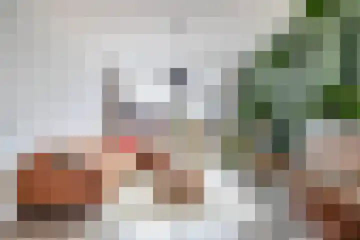 Zwanenvechtlaan 60 Utrecht thumbnail 9