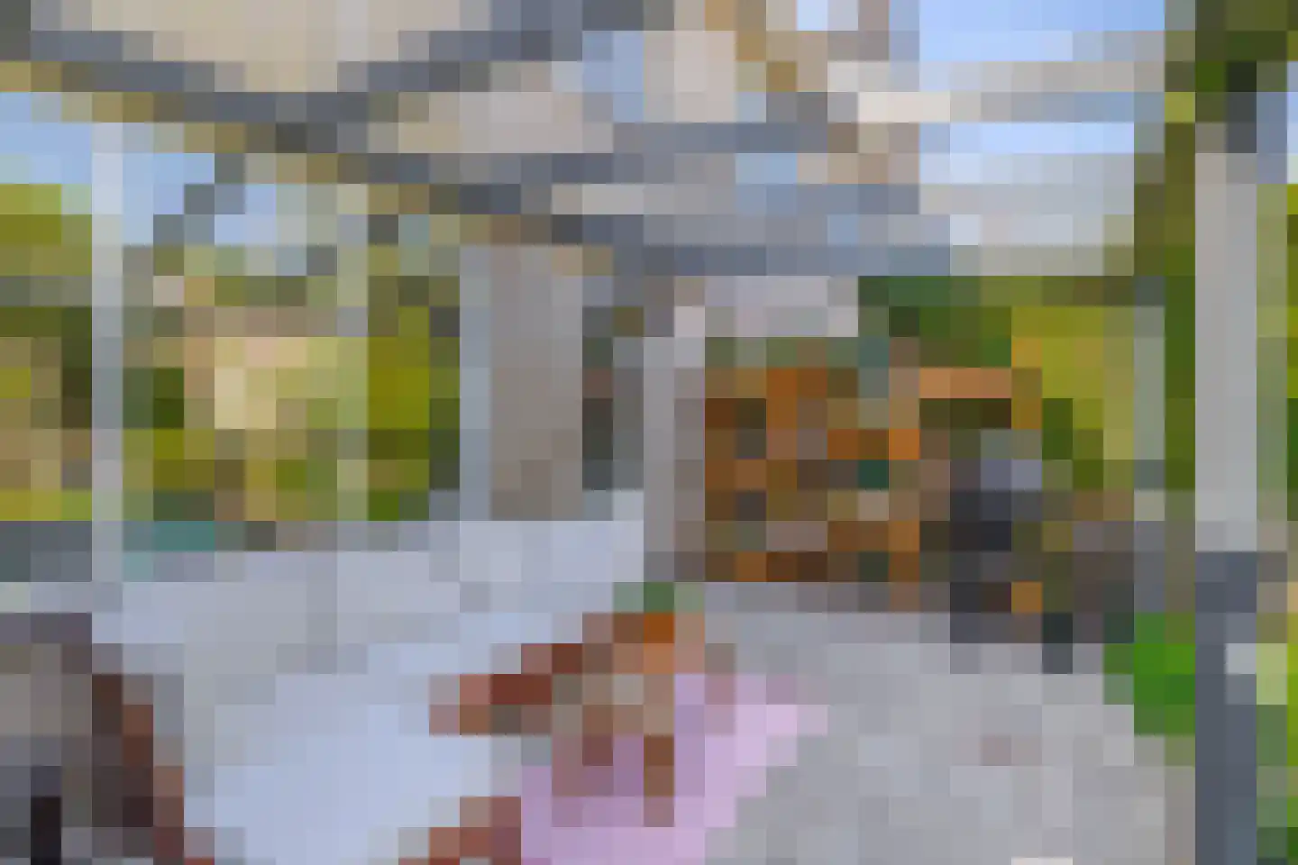 Zwanenvechtplein 25 Utrecht thumbnail 14