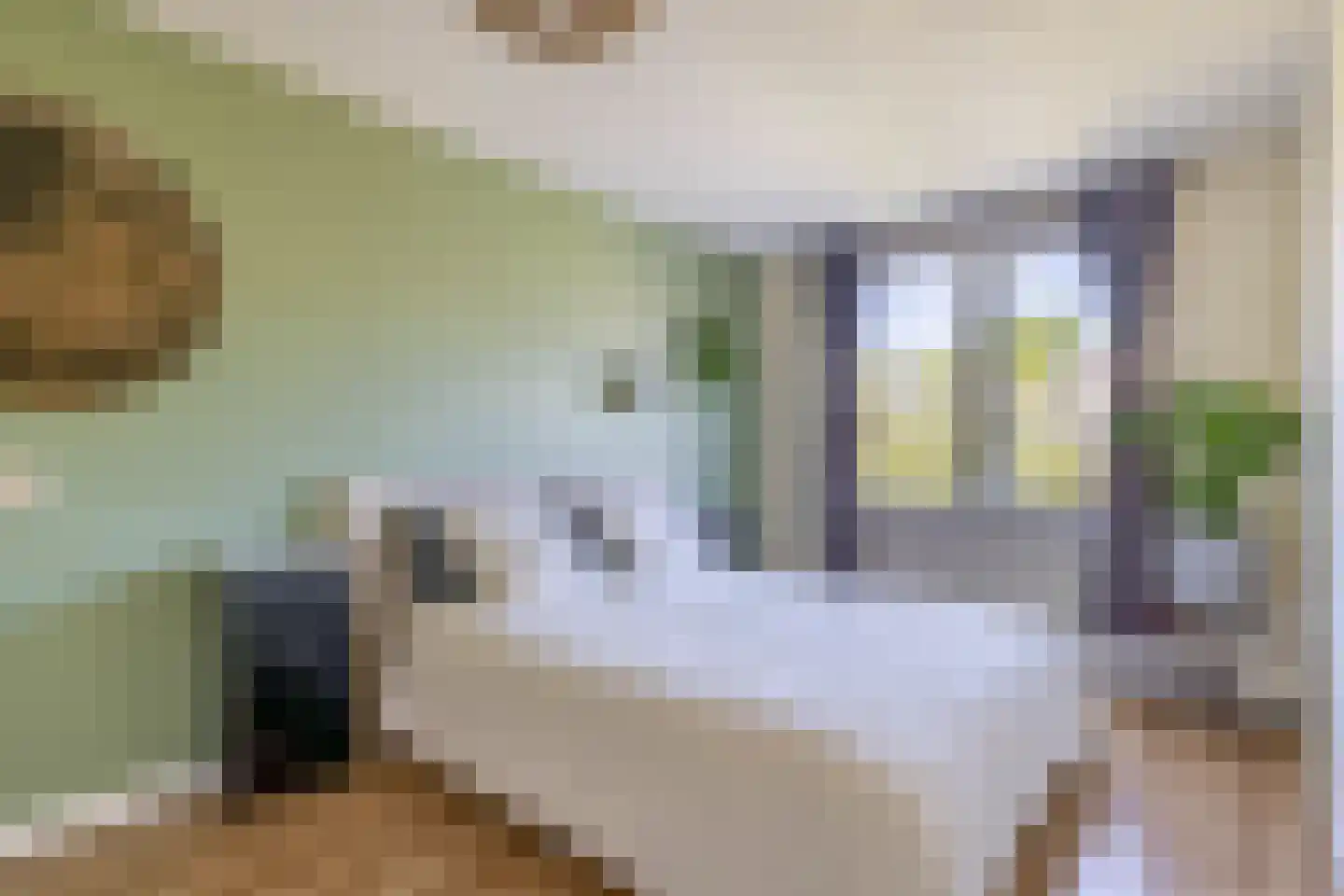 Zwanenvechtplein 25 Utrecht thumbnail 19