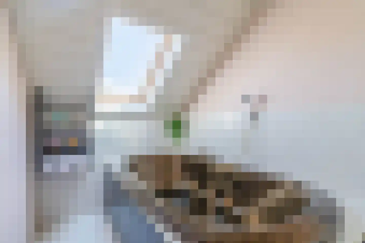 Zwanenvechtplein 25 Utrecht thumbnail 25
