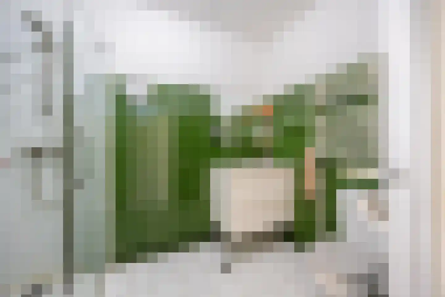 Zwanenveld 1518 Nijmegen thumbnail 28