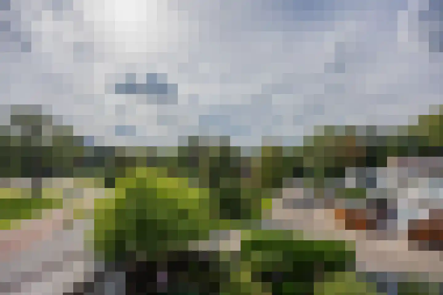 Zwanenveld 1518 Nijmegen thumbnail 37