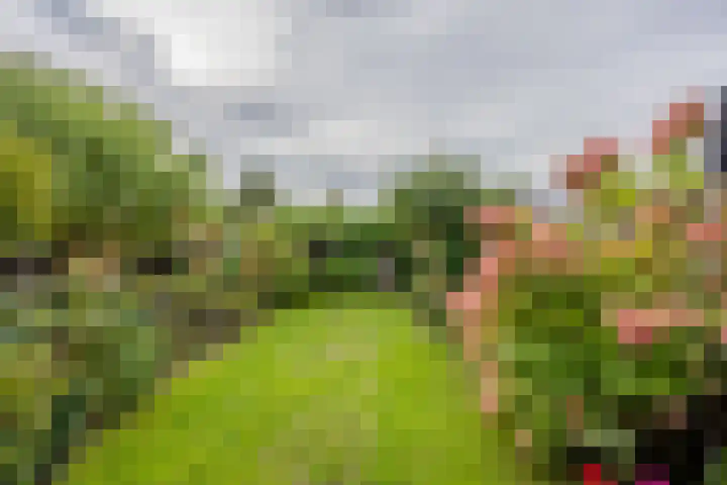 Zwanenveld 1518 Nijmegen thumbnail 39