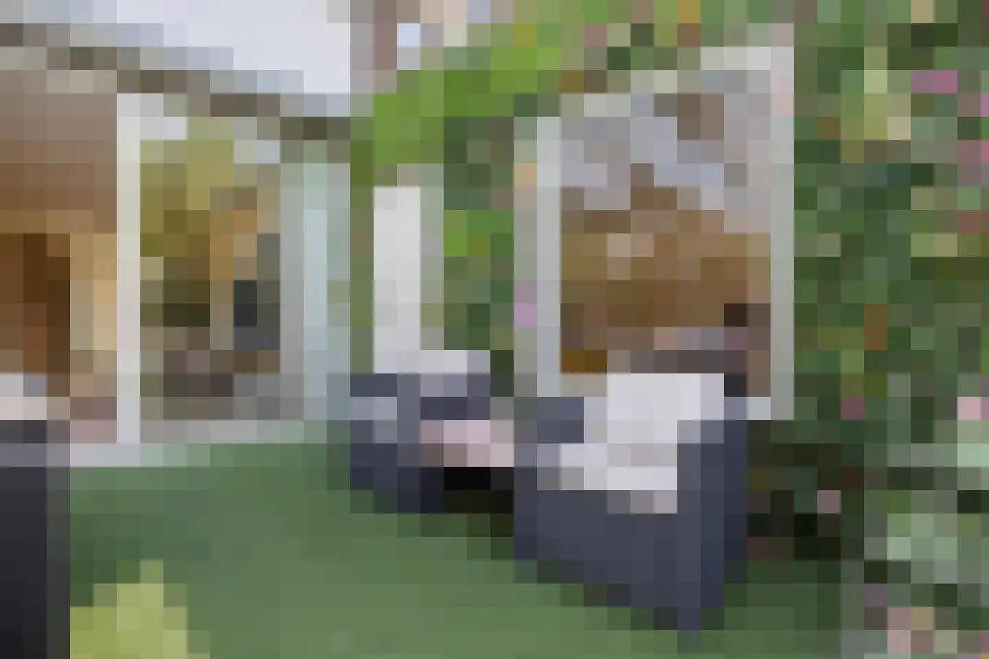 Zwanenveld 1520 Nijmegen thumbnail 34