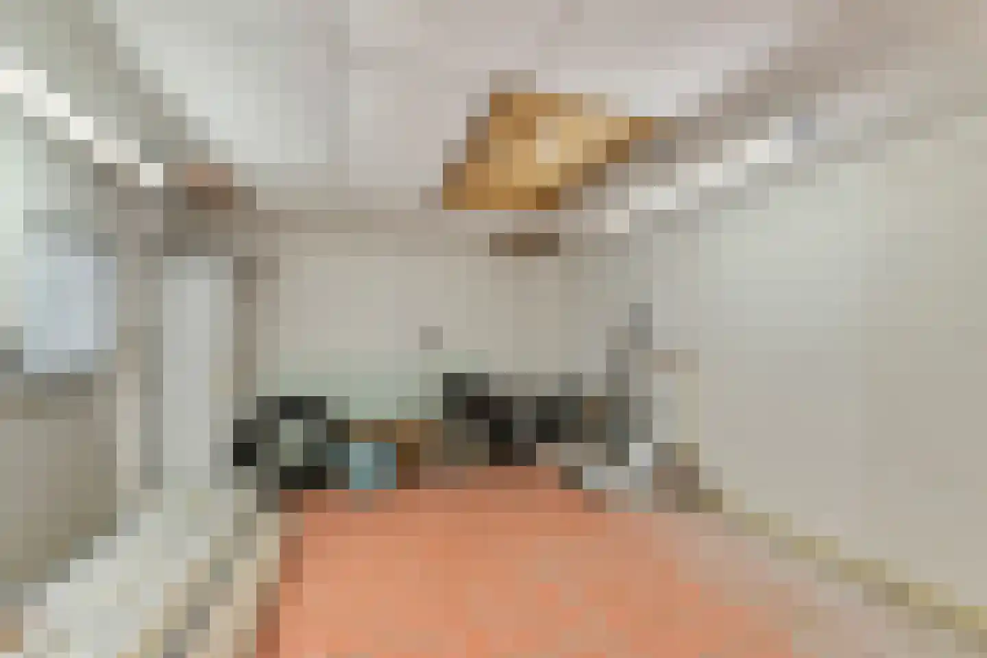 Zwanenveld 23 Huissen thumbnail 33