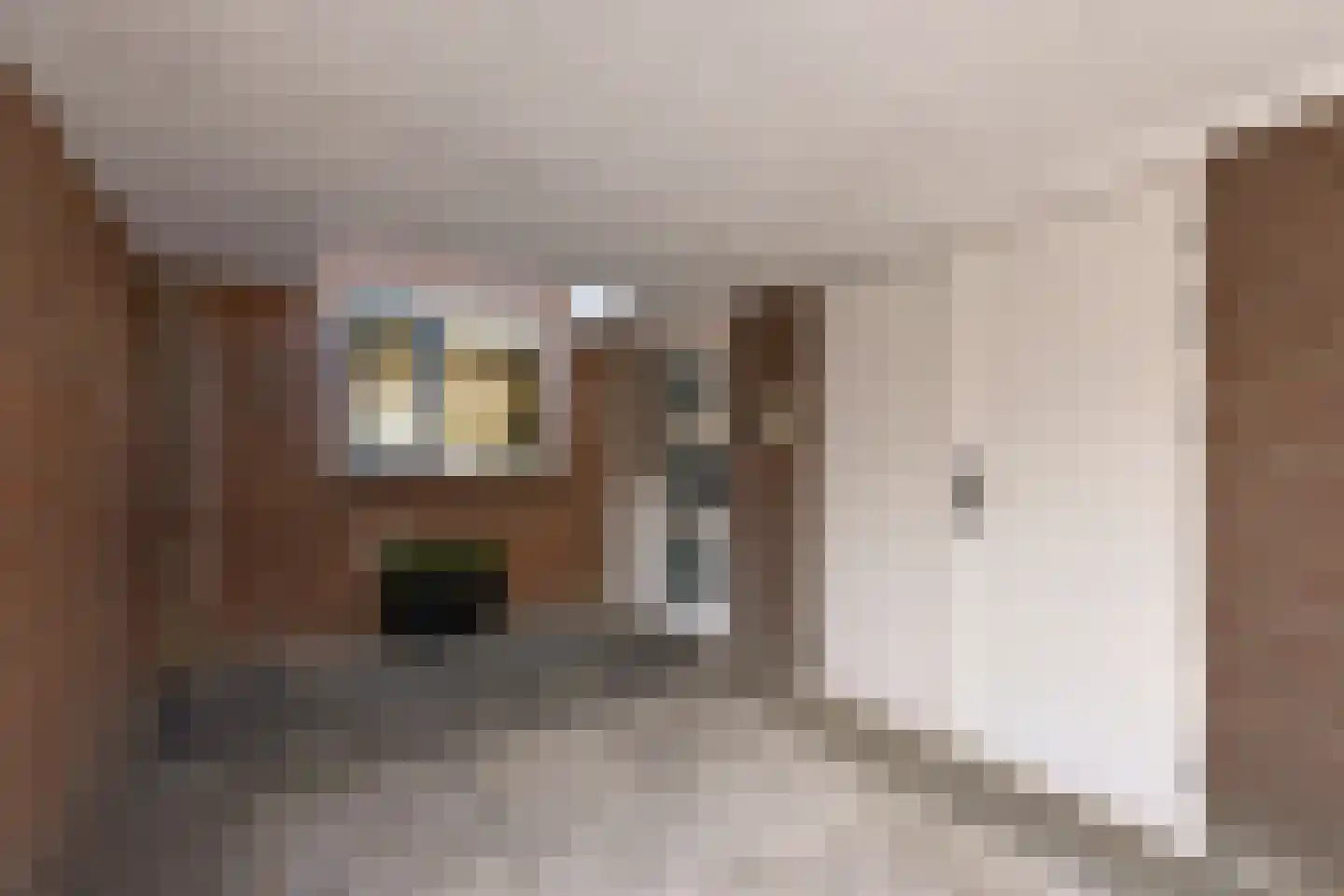 Zwanenveld 23 Huissen thumbnail 4