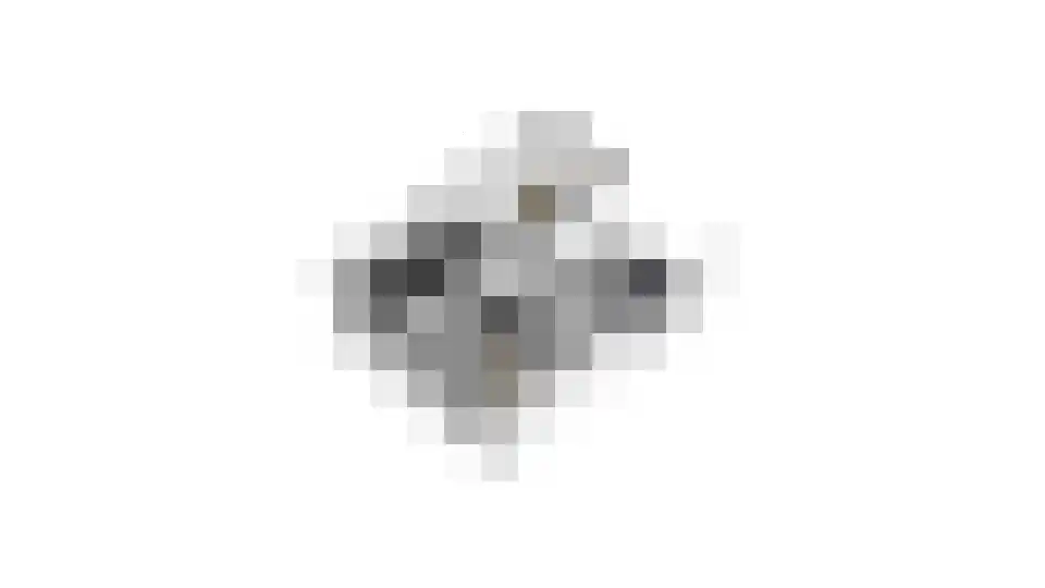 Zwanenveld 23 Huissen thumbnail 50