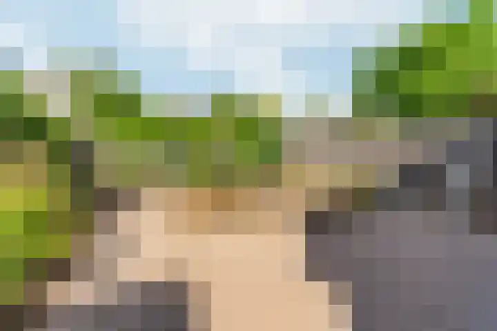 Zwanenveld 2323 Nijmegen thumbnail 31
