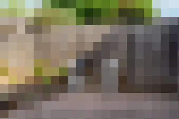 Zwanenveld 2323 Nijmegen thumbnail 32