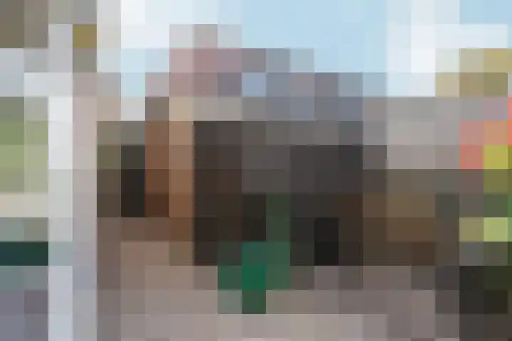 Zwanenveld 2323 Nijmegen thumbnail 35