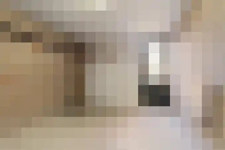 Zwanenveld 2323 Nijmegen thumbnail 37
