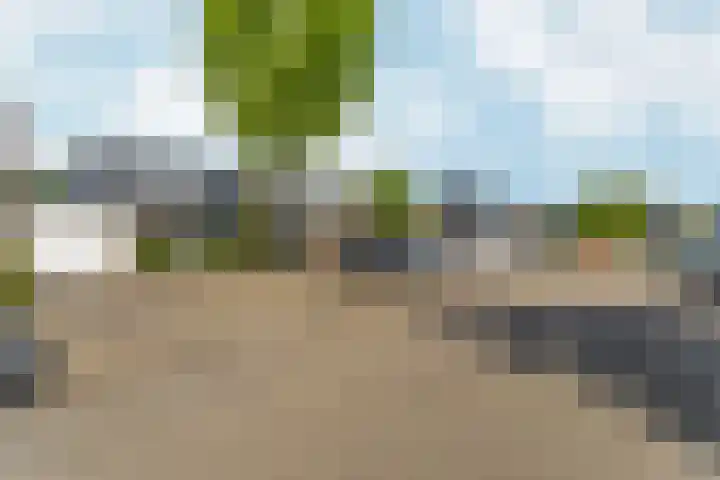 Zwanenveld 2323 Nijmegen thumbnail 42
