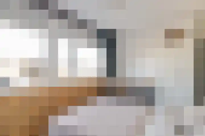 Zwanenveld 2506 Nijmegen thumbnail 16