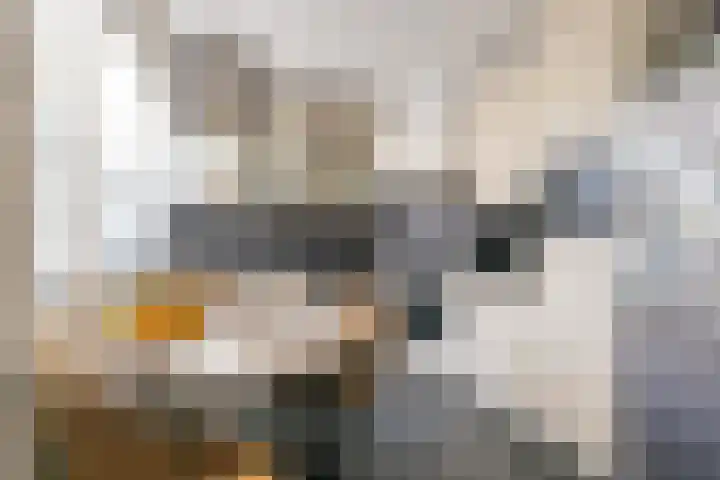 Zwanenveld 2506 Nijmegen thumbnail 7