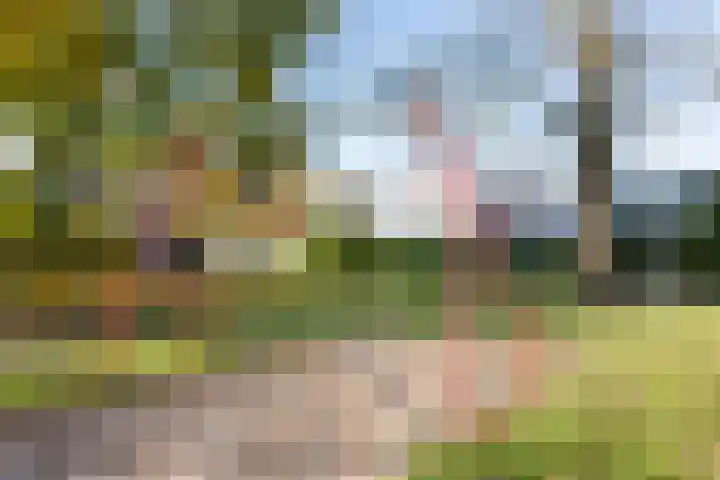 Zwanenveld 2552 Nijmegen thumbnail 39