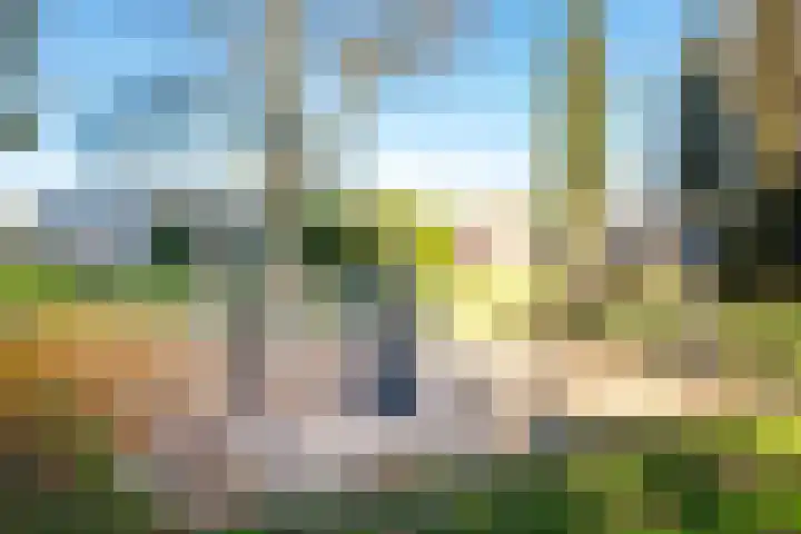 Zwanenveld 2552 Nijmegen thumbnail 40