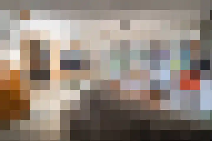 Zwanenveld 2552 Nijmegen thumbnail 6
