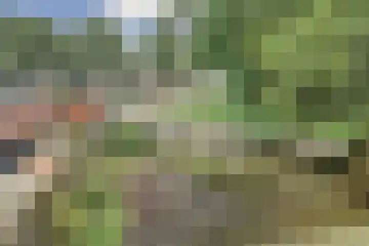 Zwanenveld 2602 Nijmegen thumbnail 21