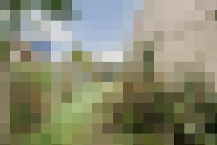 Zwanenveld 2602 Nijmegen thumbnail 27