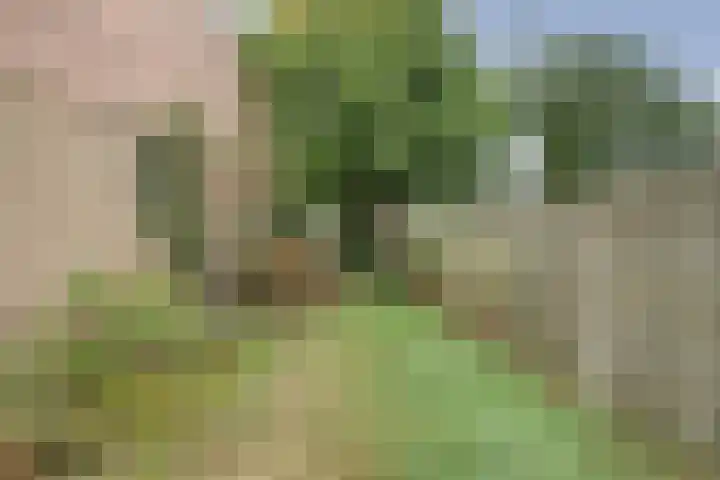 Zwanenveld 2602 Nijmegen thumbnail 28