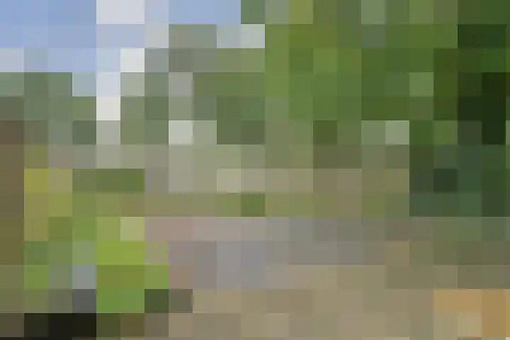 Zwanenveld 2602 Nijmegen thumbnail 6
