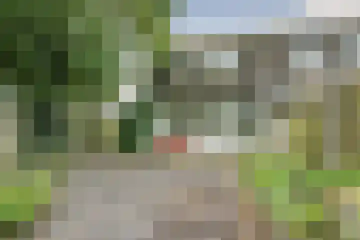 Zwanenveld 2602 Nijmegen thumbnail 7