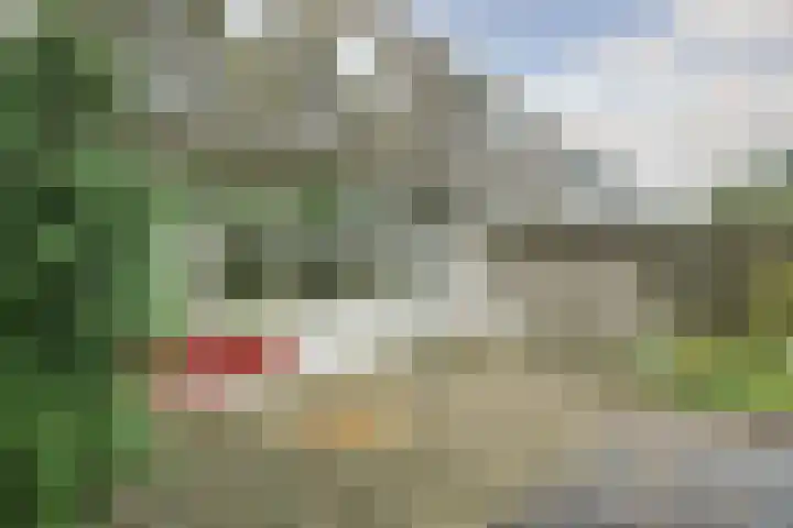 Zwanenveld 2602 Nijmegen thumbnail 8