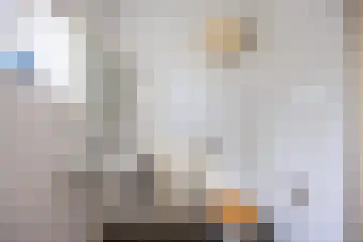 Zwanenveld 2711 Nijmegen thumbnail 28