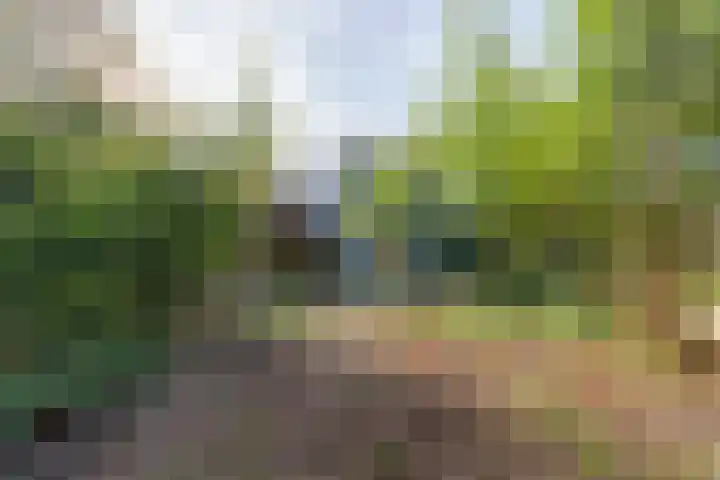 Zwanenveld 2711 Nijmegen thumbnail 31
