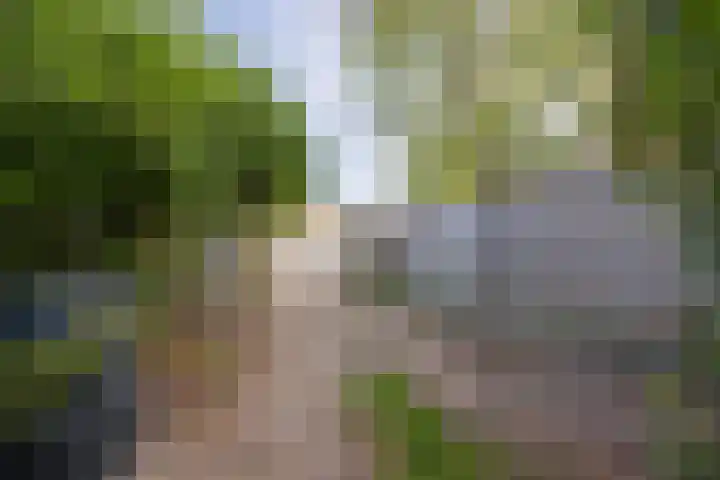 Zwanenveld 2711 Nijmegen thumbnail 34