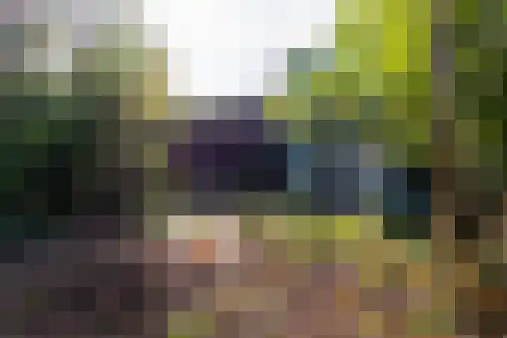 Zwanenveld 2711 Nijmegen thumbnail 37