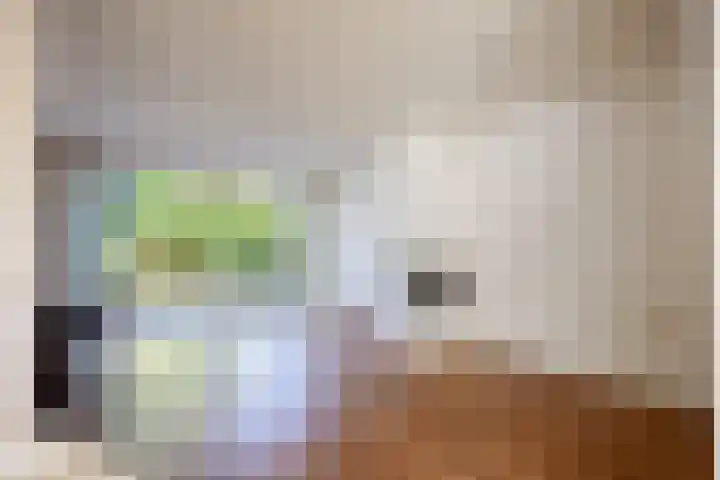 Zwanenveld 2711 Nijmegen thumbnail 7