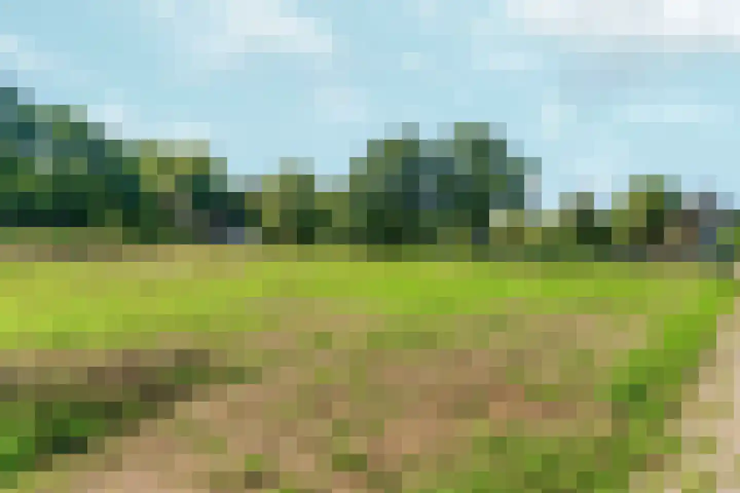 Zwanenveld 2714 Nijmegen thumbnail 24