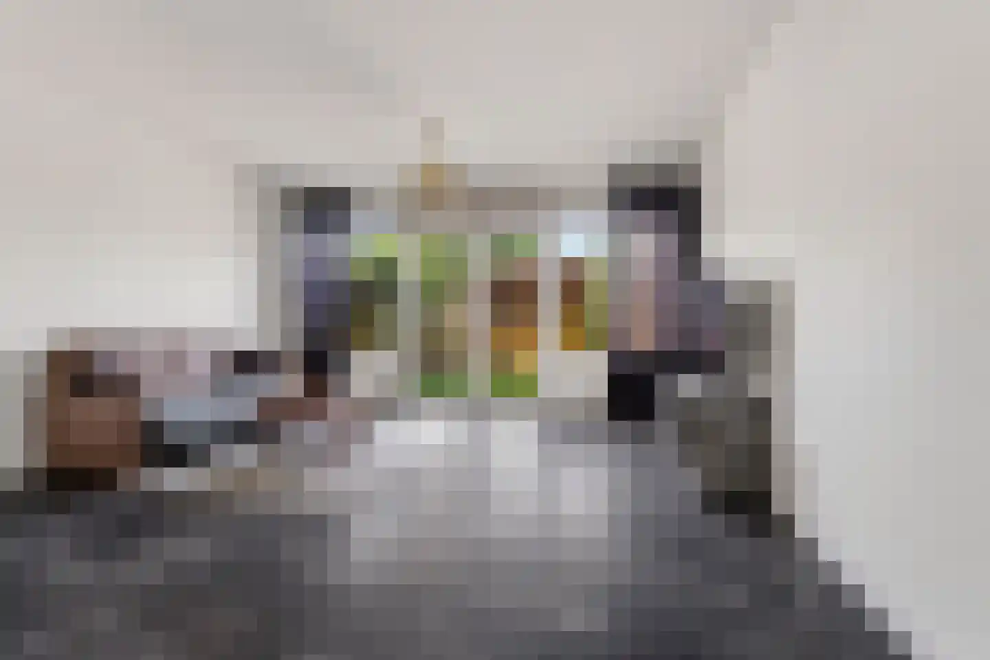 Zwanenveld 2714 Nijmegen thumbnail 6