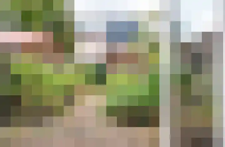Zwanenveld 2745 Nijmegen thumbnail 33