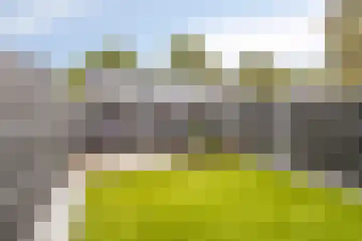 Zwanenveld 3042 Nijmegen thumbnail 24