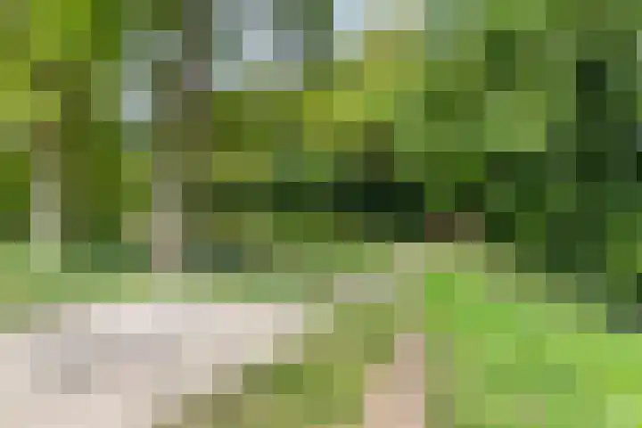 Zwanenveld 3042 Nijmegen thumbnail 31