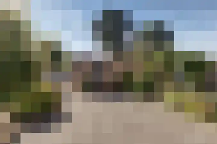 Zwanenveld 3133 Nijmegen thumbnail 7